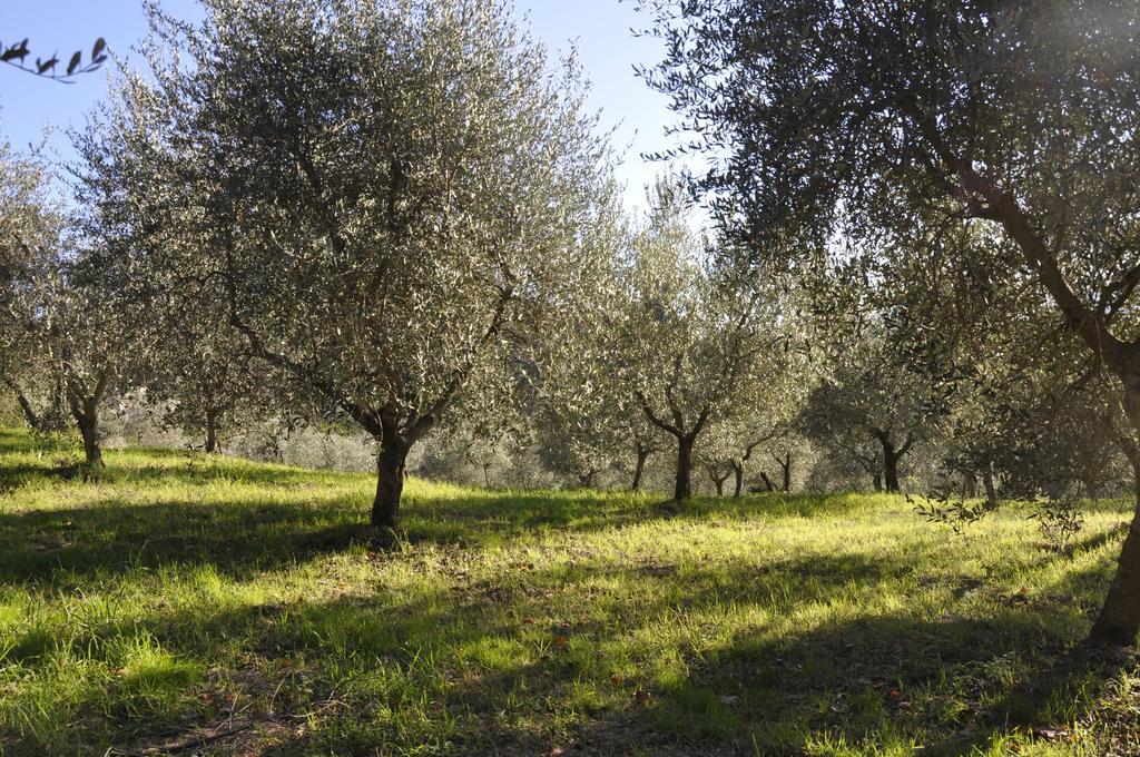 Podere Le Monache Montaione Ngoại thất bức ảnh